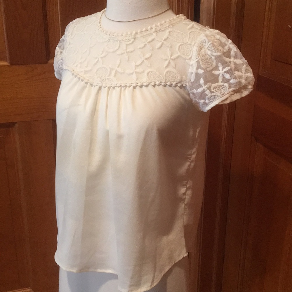 Embroidered Sheer Top Blouse